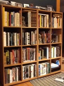 a picture of the bookshelves in my living room
